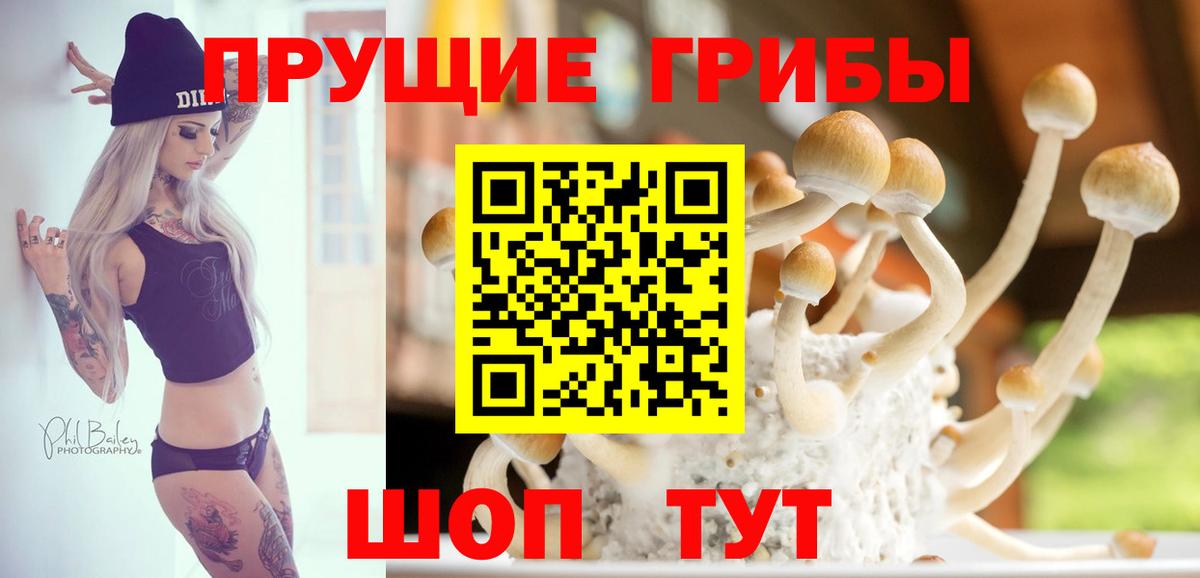 Псилоцибиновые грибы MAGIC MUSHROOMS  Галлюциногенные грибы MAGIC MUSHROOMS  Вход с VPN  Елизово 