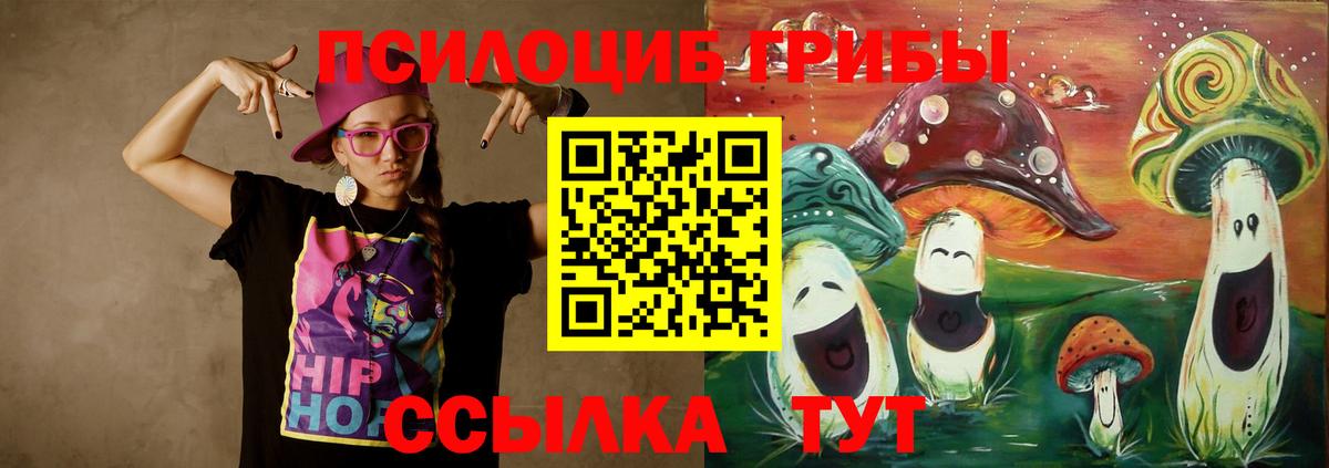 Галлюциногенные грибы Psilocybe Елизово